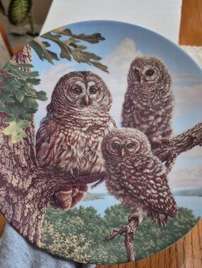 Knowles China "Perfect Perch: Barred Owls Collectible Plate #376C-1992